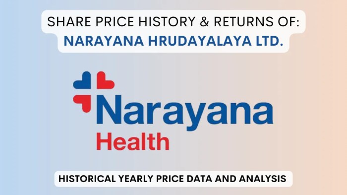 Narayana Hrudayalaya Share Price History (2016 To 2025)