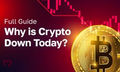 Full Guide: Why is Crypto Down Today?