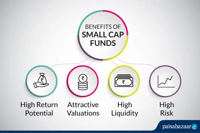 Best Small Cap Funds - Top 5 Small Cap Mutual Funds to Invest in 2019 Best Small Cap Funds - Top 5 Small Cap Mutual Funds to Invest in 2019
