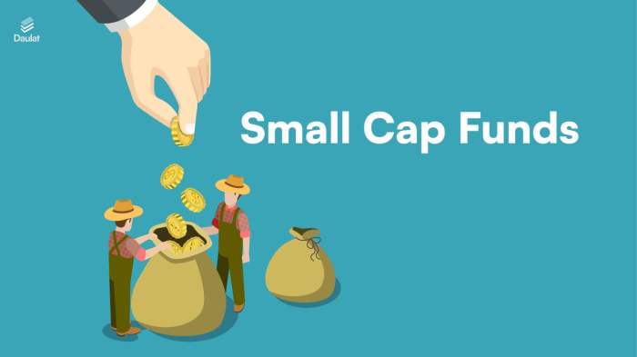Small Cap Funds: A Comprehensive 101 Guide - Daulat Small Cap Funds: A Comprehensive 101 Guide - Daulat