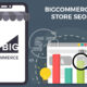 BigCommerce SEO - BigCommerce SEO Optimization
