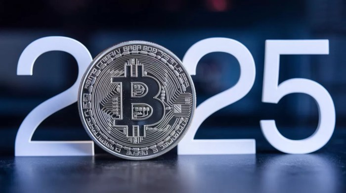 Analysis Company Announced Crypto Money Predictions for 2025: “Bitcoin ...