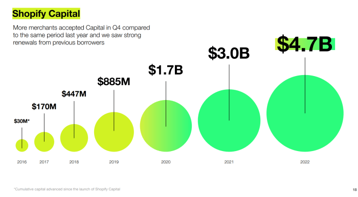 What is Shopify Capital? - A Guide to Understanding Shopify's Financing ...