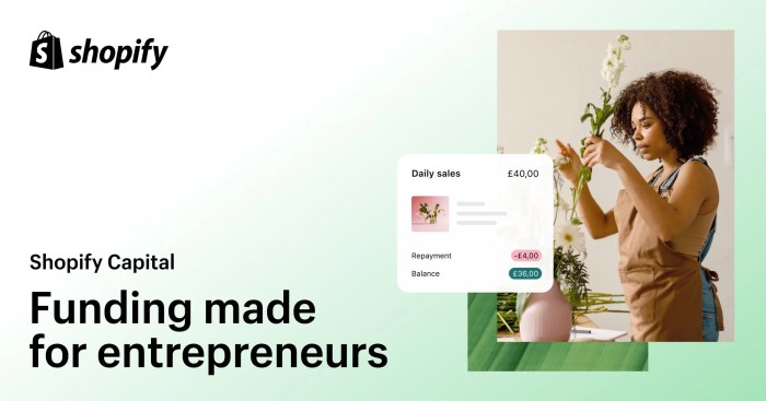 Shopify Capital | Business Funding Made for Entrepreneurs - Shopify UK